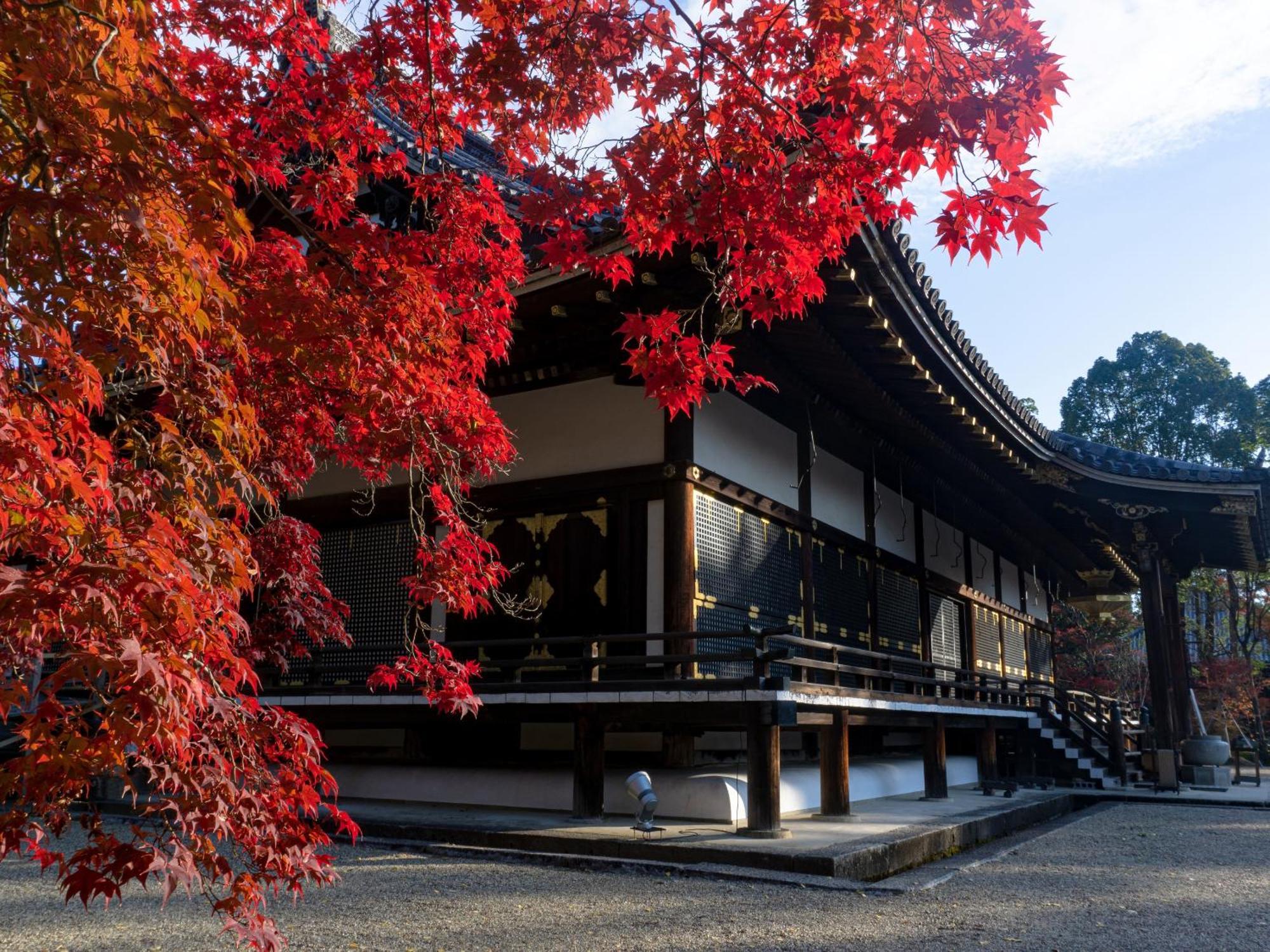 The Blossom Kyoto Extérieur photo
